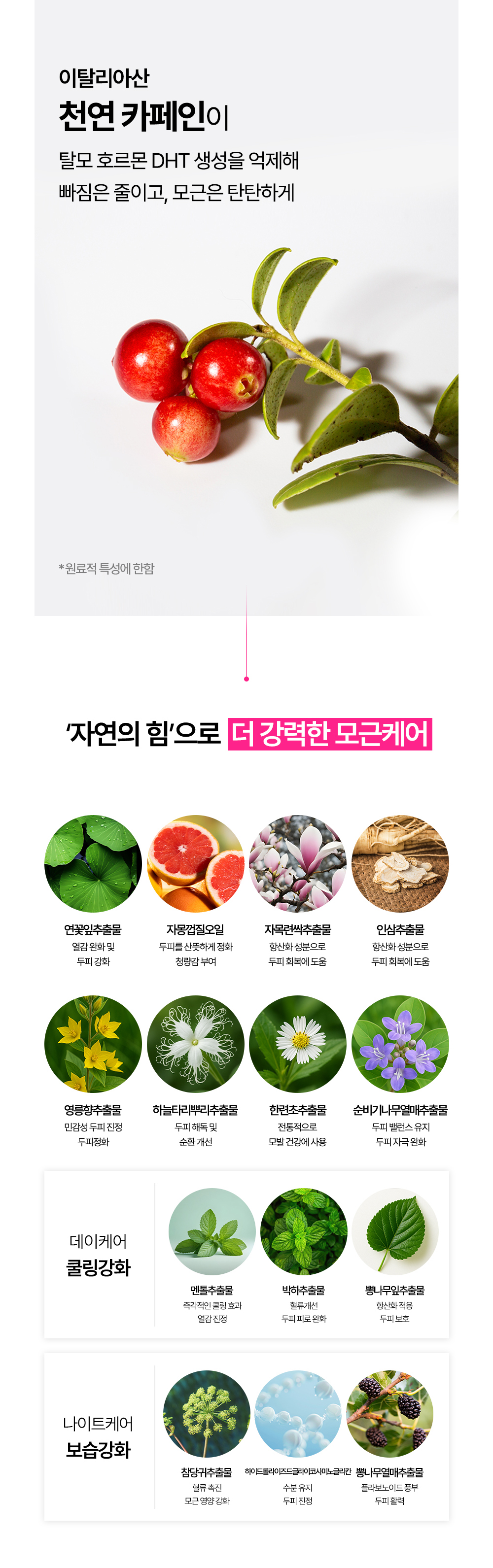 악세사리 상품상세 이미지-S40L4