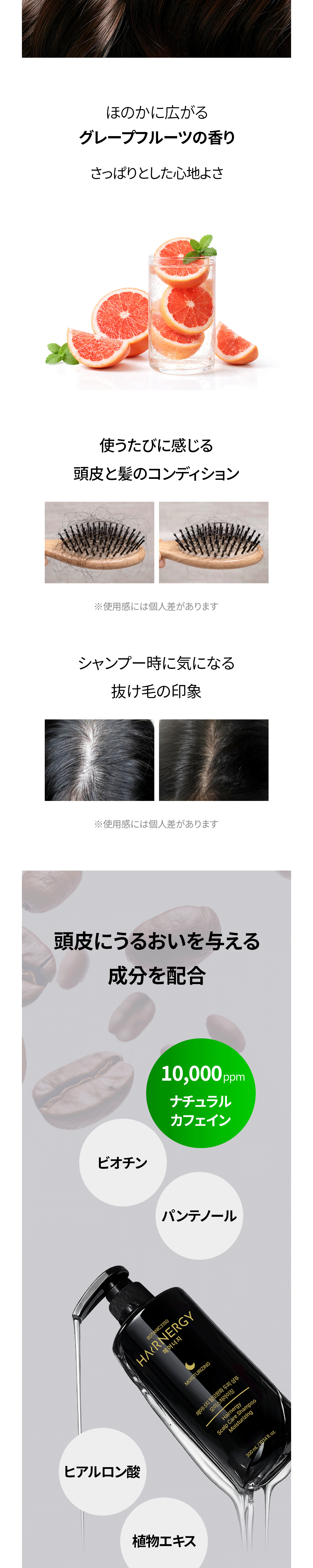 付属品 詳細画像-S49L1